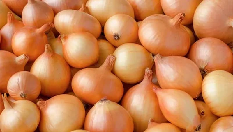 پیاز اشکی نوک‌ تیز و متقارن برای طعم و ظاهر خاص در آشپزی